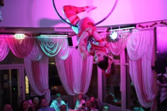 14-live-shows-with-entertainment-and-german-cuisine-in-berlin-mitte-wilde-matilde-2026