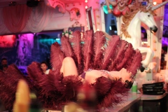 Wilde-Matilde-Deutsches-Restaurant-Variete-show-in-berlin-Nikolaiviertel-40