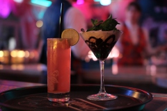 Wilde-Matilde-Deutsches-Restaurant-Variete-show-in-berlin-Nikolaiviertel-70