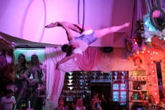 angesagtes-authentische-Berliner-Abendprogramm-Dinner-and-Show-mit-feinster-berliner-Kueche-im-Nikolaiviertel-mit-Cafe-Variete-Karrusell-Bar-Wilde-Matilde