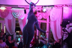 Wilde-Matilde-Deutsches-Restaurant-Variete-show-in-berlin-Nikolaiviertel-32