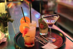 Wilde-Matilde-Deutsches-Restaurant-Variete-show-in-berlin-Nikolaiviertel-21