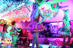 Wilde-Matilde-250-Plaetze-Variete-Berlin-Touristen-Nikolaiviertel9