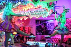 Wilde-Matilde-Berliner-Tradition-Variete-250-Plaetze-Nikolaiviertel-2026-4