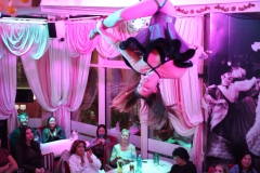 angesagte-Bar-Berlin-Wilde-Matilde-SHow-Bar-Deutsches-Restaurant-und-Cafe-Nikolaiviertel-Berlin-12