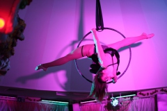 angesagte-Bar-Berlin-Wilde-Matilde-SHow-Bar-Deutsches-Restaurant-und-Cafe-Nikolaiviertel-Berlin-27