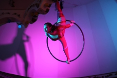 Bestes-Deutsches-Restaurant-Cafe-und-Variete-Bar-Berlin-Nikolaiviertel-Februar-2026-34