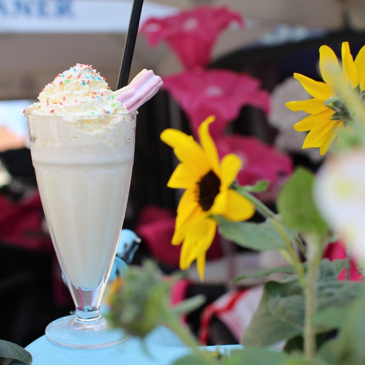 Wilde Matilde Sommergarten mit hausgemachtem Eis