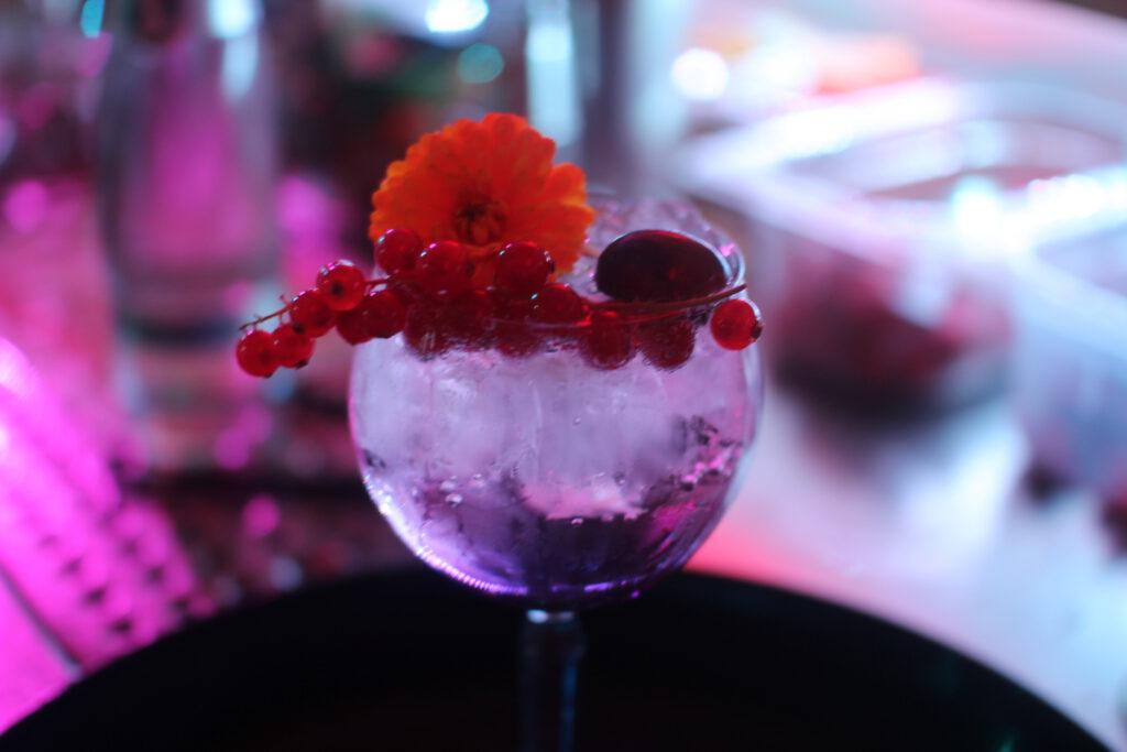 Cocktailkurs Gin tasting in Berlin 9 Cocktailkurs Gin tasting in Berlin