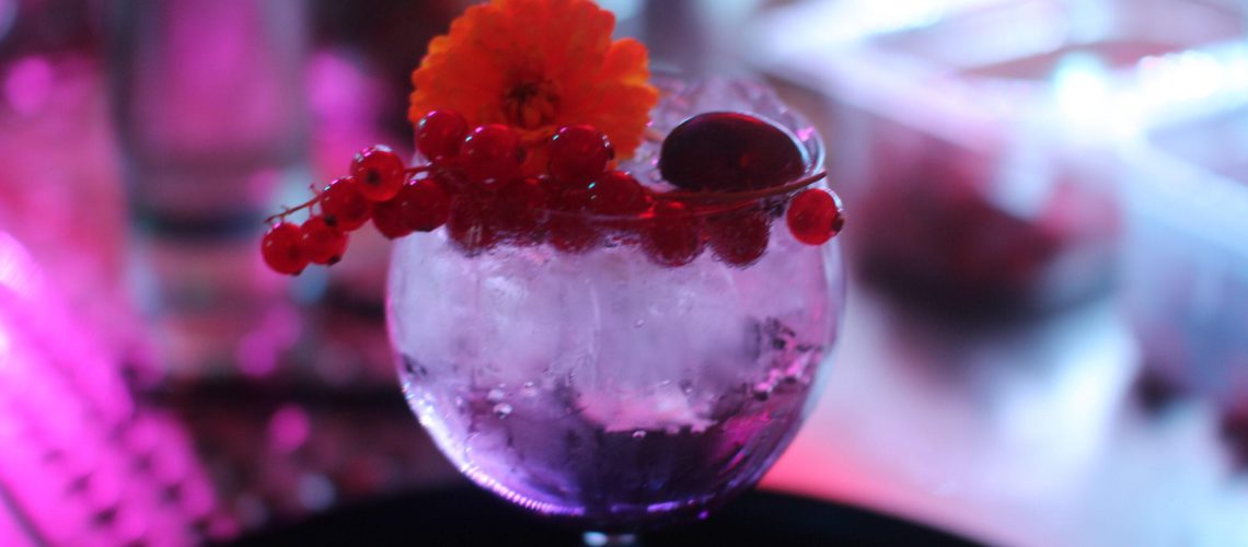 Cocktailkurs Gin tasting in Berlin