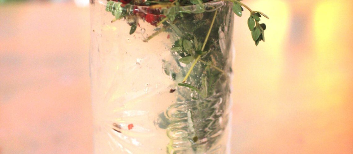 Ob Anfänger oder Fortgeschrittener, die Cocktailkurse bei Wilde Matilde Berlin bieten ein unvergessliches Erlebnis voller Gin-Cocktails, kreativer Mixology und Spaß. Sichere dir jetzt deinen Platz und lerne, Drinks zu mixen, die beeindrucken, sowohl geschmacklich als auch optisch.